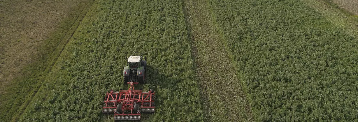 stubble cultivator working in field after the end of winter