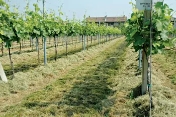 Rozdrabniacze SDS zapewniają przenoszenie trawy na boki.